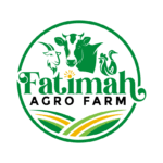 Screenshot 2025-08-11 234309